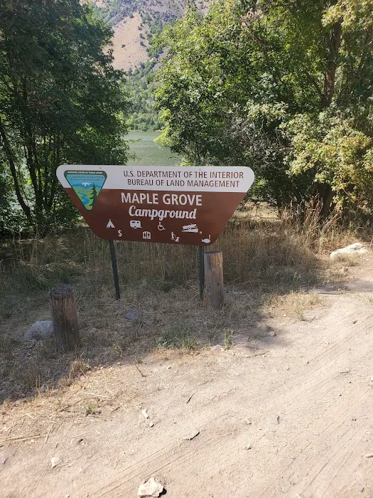 Maple Grove Campground Picture 6