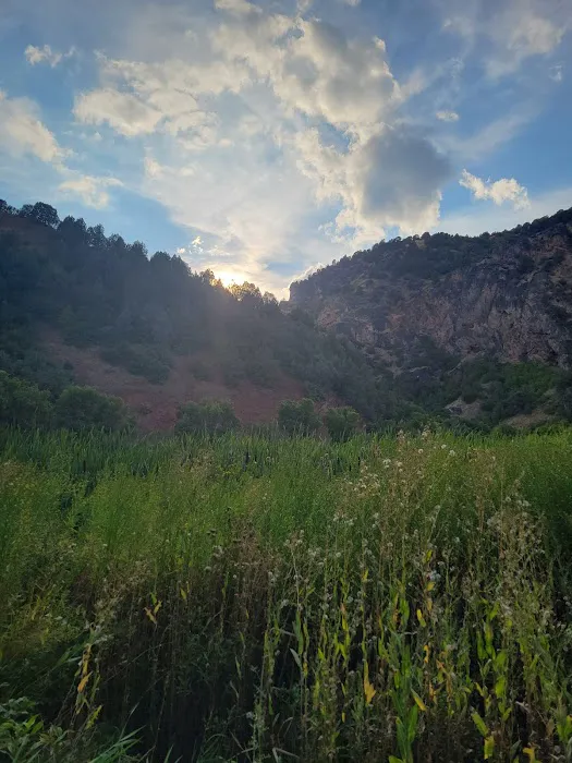 Redpoint Campground Picture 7