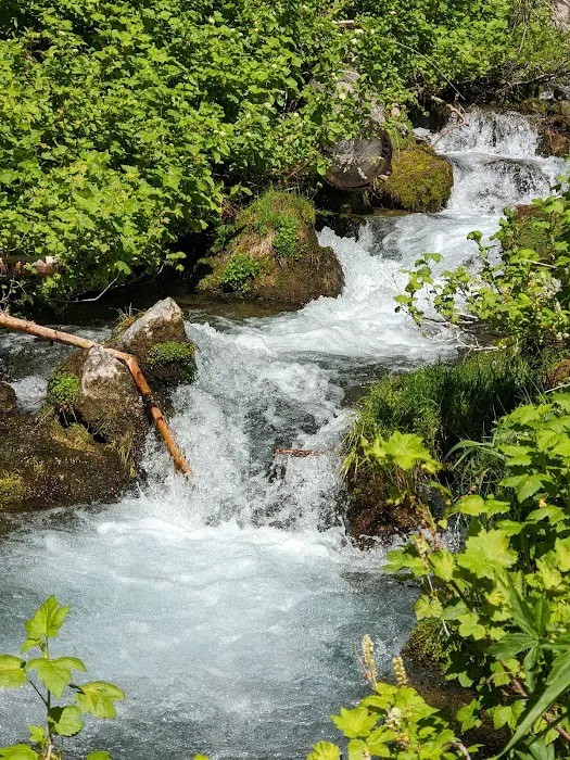 Paris Springs Campground Picture 1