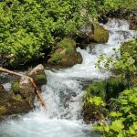 Paris Springs Campground