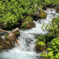 Paris Springs Campground ico