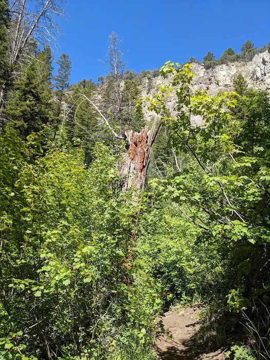 Paris Springs Campground Picture 2