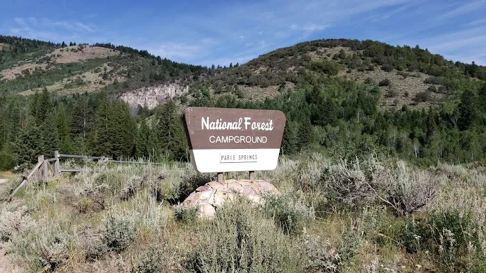 Paris Springs Campground Picture 4