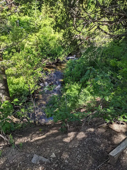 Paris Springs Campground Picture 7