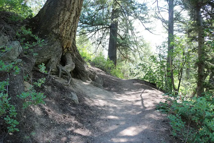 Paris Springs Campground Picture 9