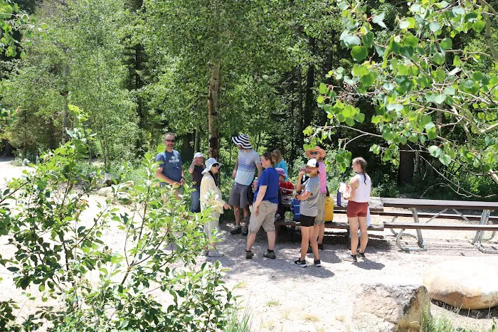 Paris Springs Campground Picture 10