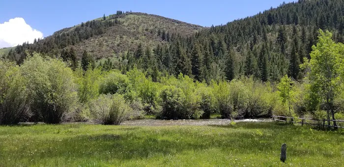 Saint Charles Campground Picture 2