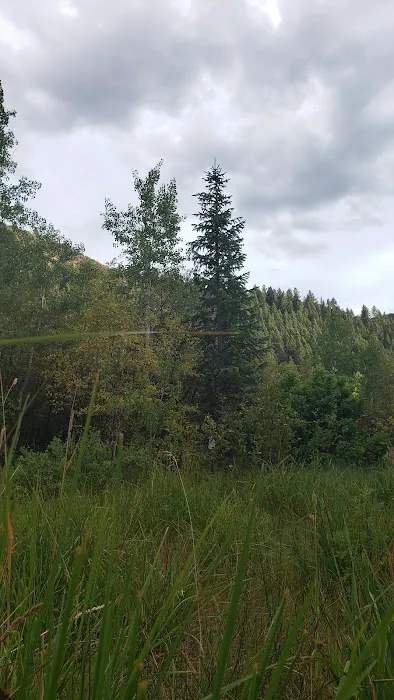 Saint Charles Campground Picture 8