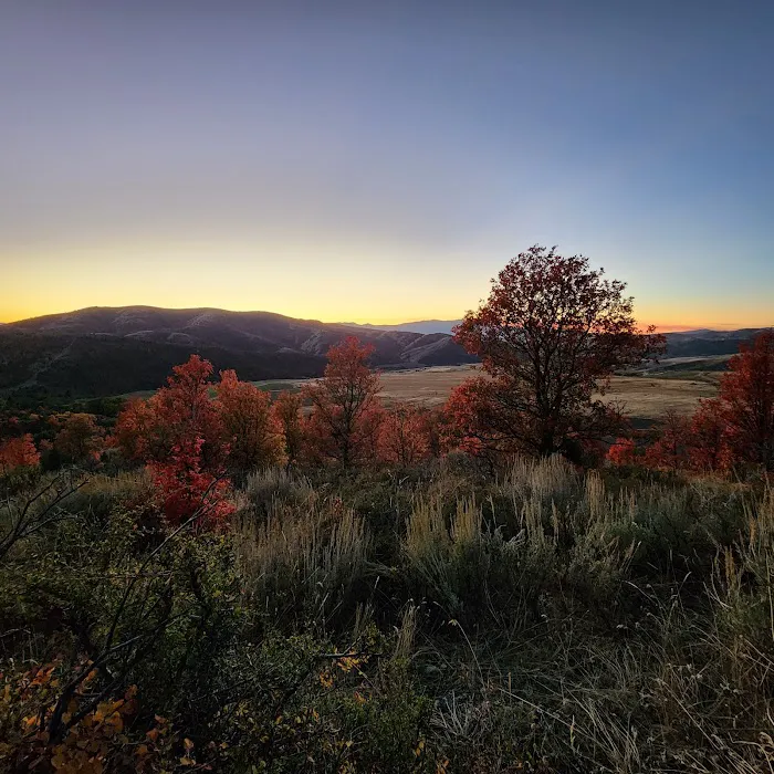 Saint Charles Campground Picture 7