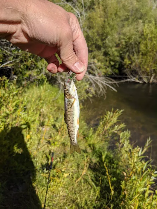 Saint Charles Campground Picture 4