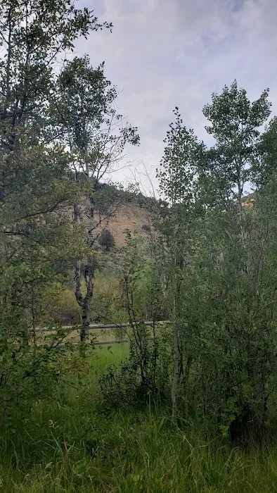 Saint Charles Campground Picture 6