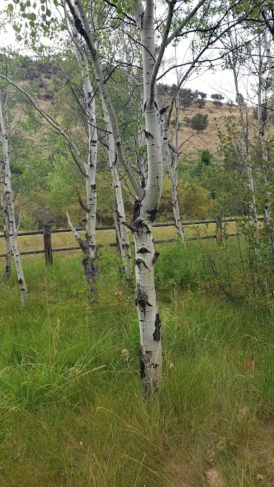 Saint Charles Campground Picture 9