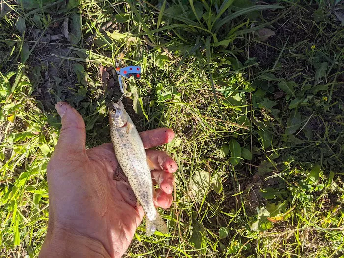 Saint Charles Campground Picture 10