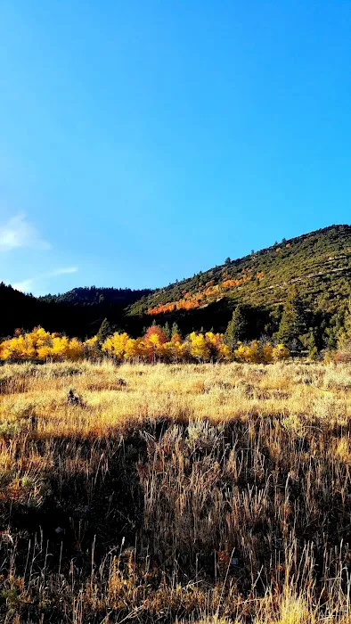 Davis Canyon Overflow Campground Picture 4