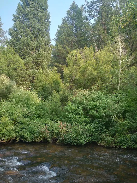 Davis Canyon Overflow Campground Picture 6