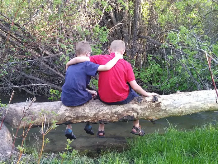 Davis Canyon Overflow Campground Picture 5