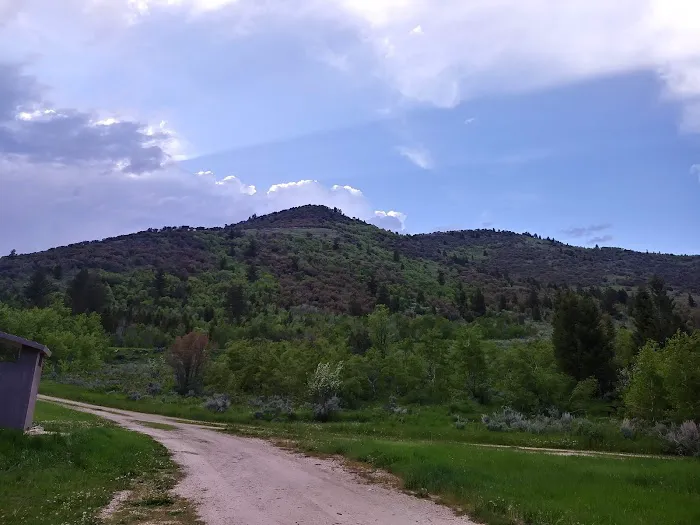 Davis Canyon Overflow Campground Picture 9