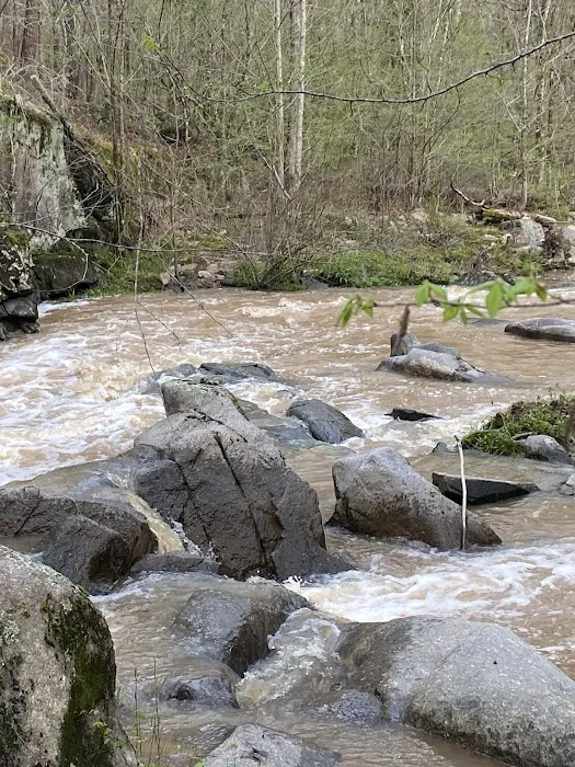 Sunrise River RV Park & Campground Picture 3