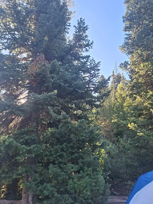 Porcupine Campground Picture 6