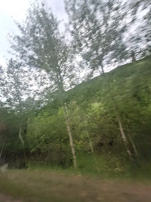 Porcupine Campground Picture 8