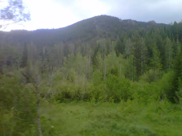 Porcupine Campground Picture 7