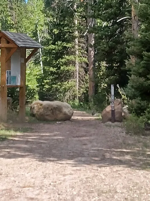 North Fork Overflow Campground Picture 1