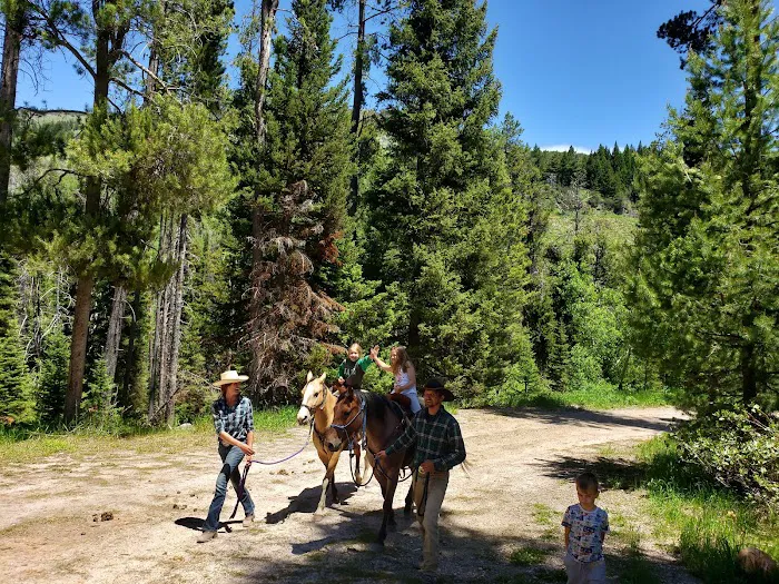 North Fork Overflow Campground Picture 5