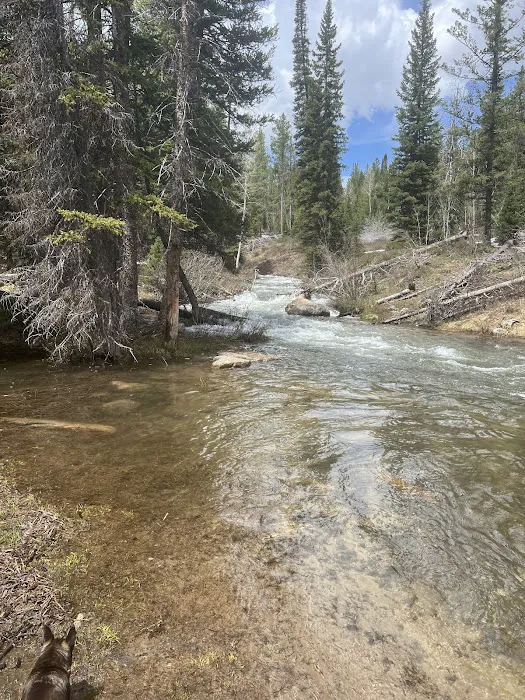 North Fork Overflow Campground Picture 4