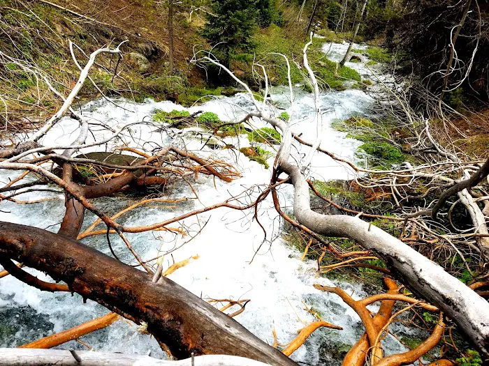 North Fork Overflow Campground Picture 10