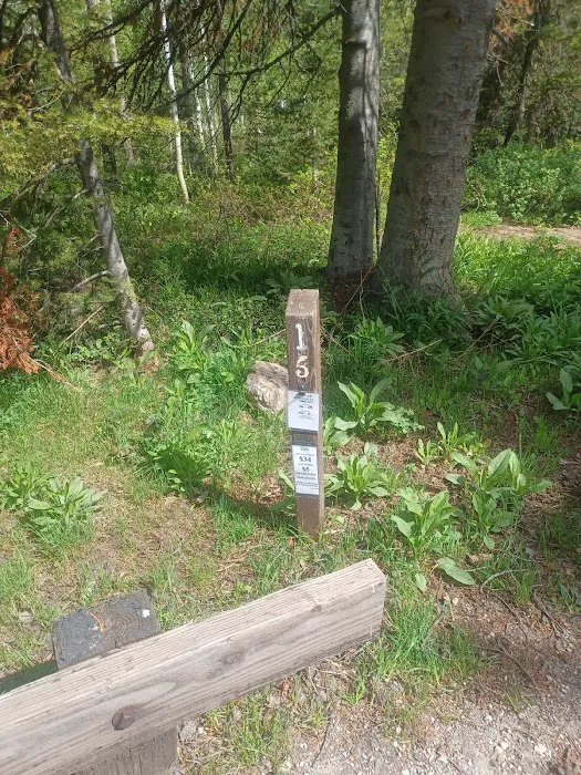 North Fork Overflow Campground Picture 9