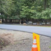 Shady Grove RV Park ico