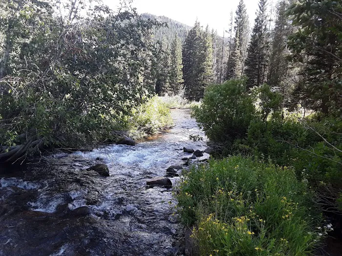 Cloverleaf Campground Picture 3