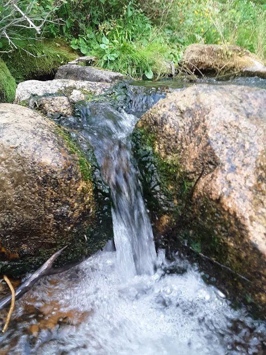 Cloverleaf Campground Picture 1