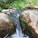 Cloverleaf Campground