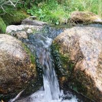 Cloverleaf Campground ico