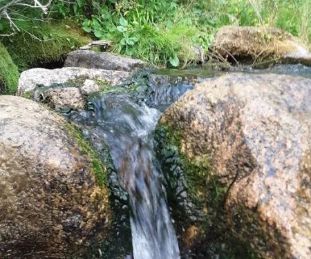 Cloverleaf Campground