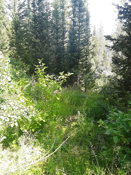 Cloverleaf Campground Picture 5