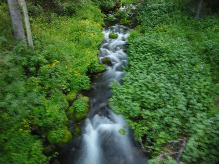 Cloverleaf Campground Picture 4