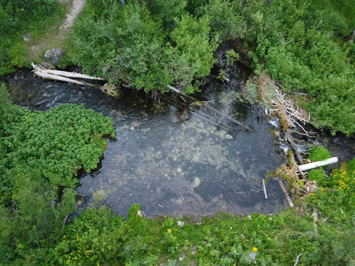 Cloverleaf Campground Picture 6