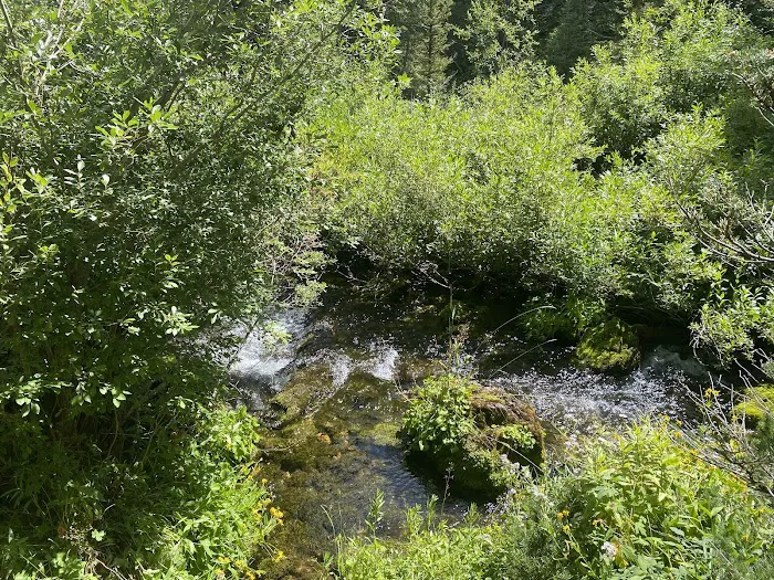 Cloverleaf Campground Picture 7