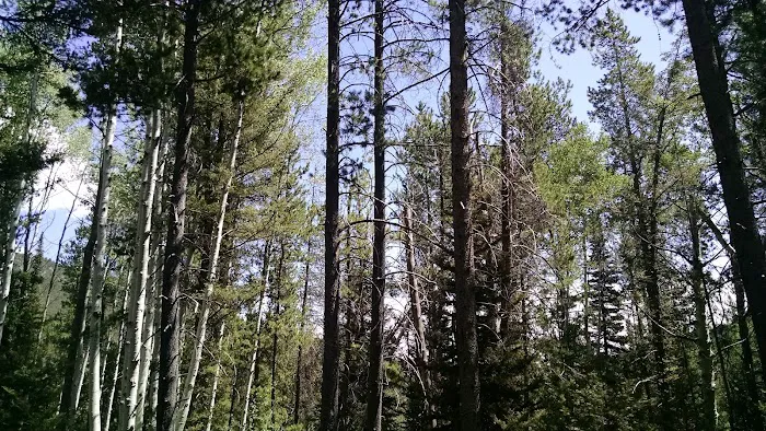 Cloverleaf Campground Picture 9