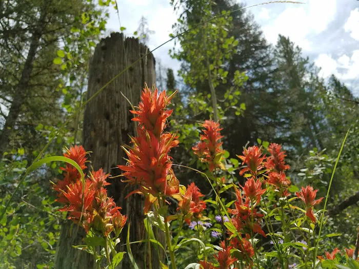 Cloverleaf Campground Picture 8