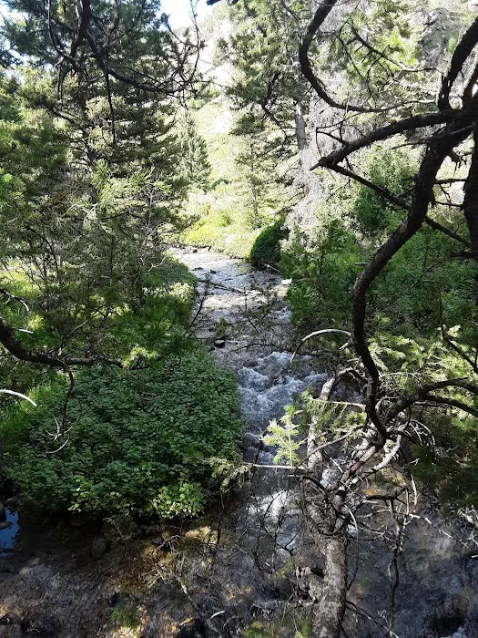 Cloverleaf Campground Picture 10