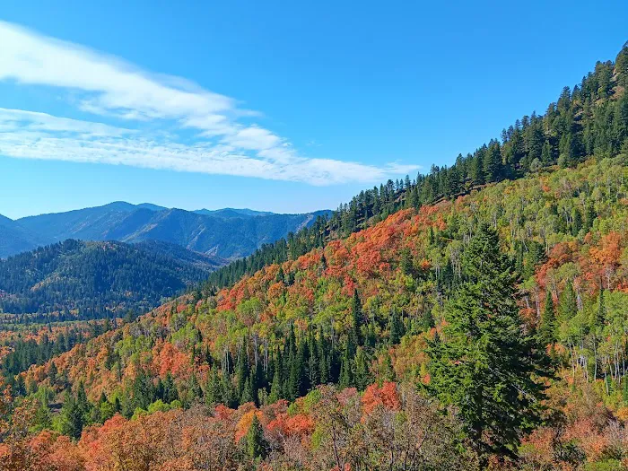 Hull Valley Camp Picture 2