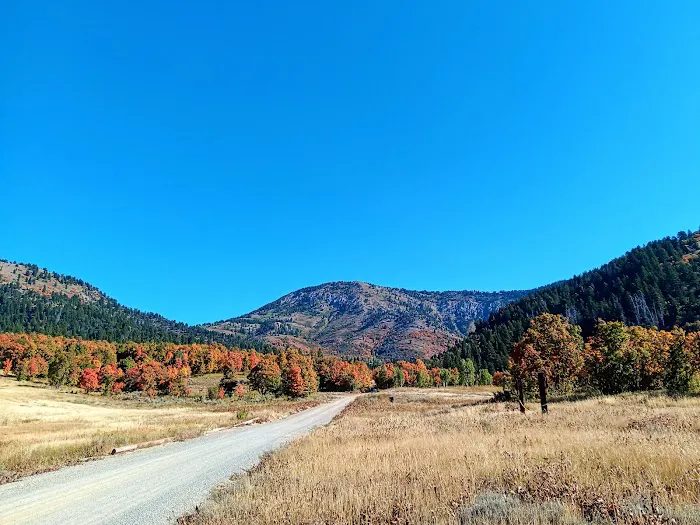 Hull Valley Camp Picture 5