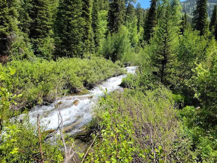 Willow Flat Campground Picture 2