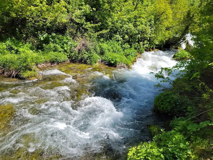 Willow Flat Campground Picture 3