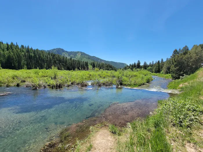 Willow Flat Campground Picture 6