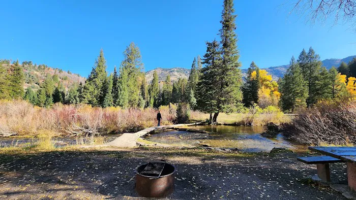 Willow Flat Campground Picture 5