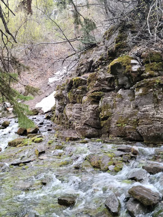 Willow Flat Campground Picture 7